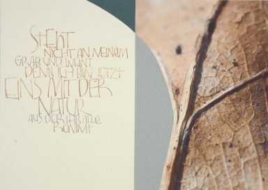 Ausschnitt aus Unikatbuch "Lakota Trost" Fotografie und Kalligrafie mit Blattelement